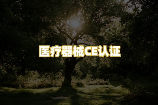 医疗器械CE认证